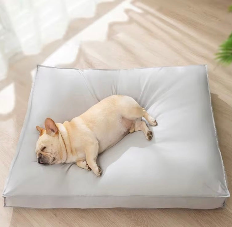 Schnuffelliebe | Weicher Hundekissenbezug in Stilvollem Design
